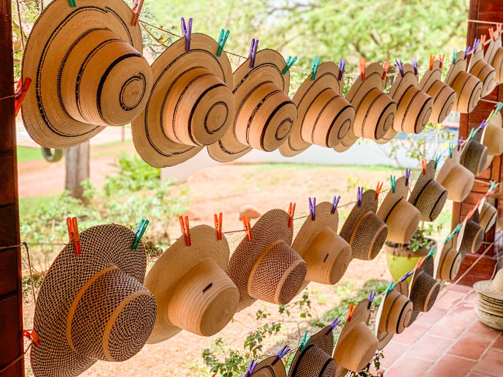 Tours Finca Pamel