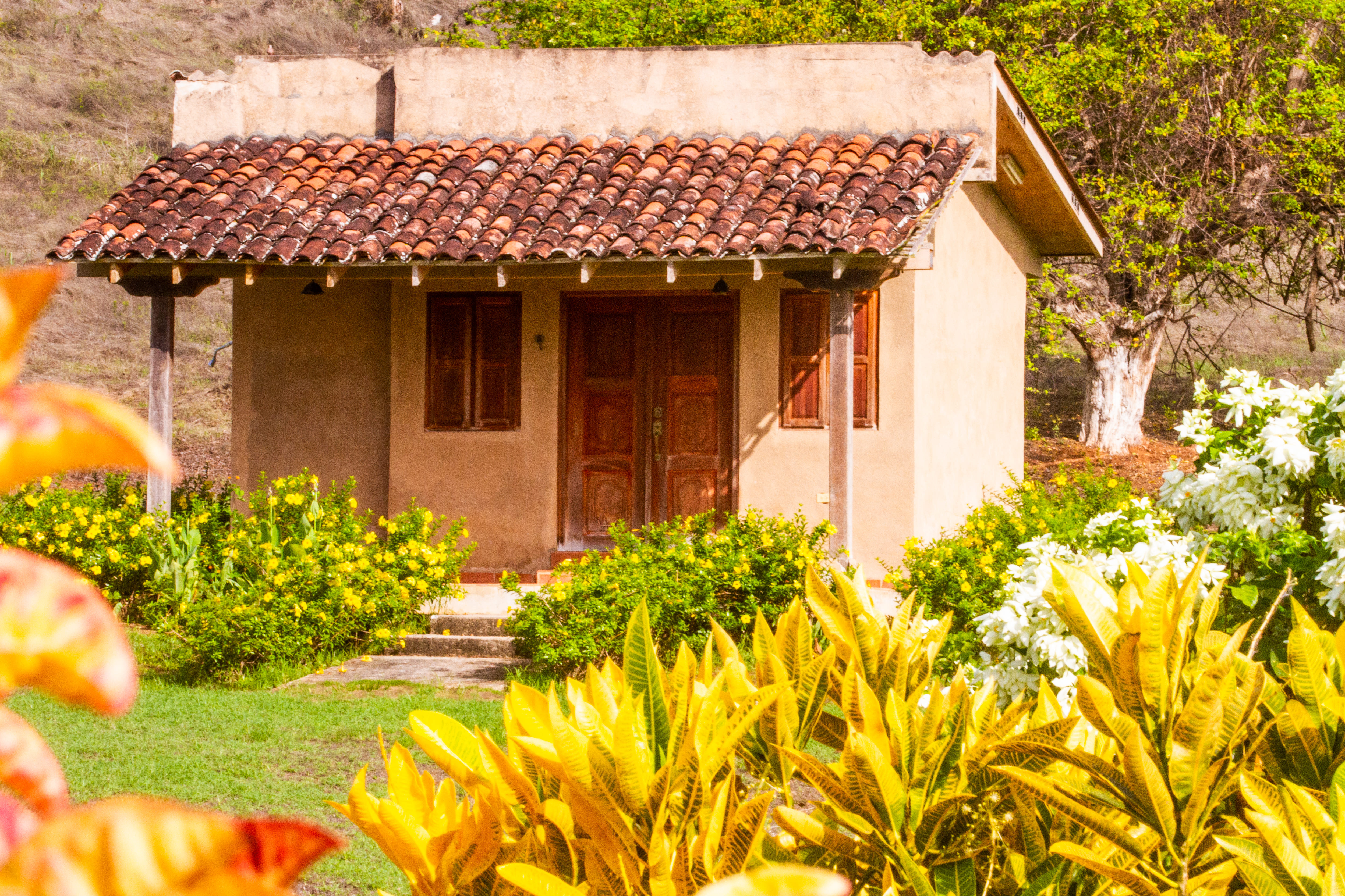 Finca Pamel Paisaje